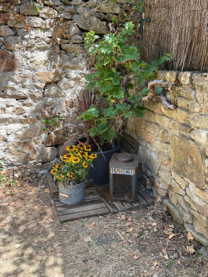 Le Patio, Coeur De Ville Avec Garage Et Jardin 瓦讷 外观 照片