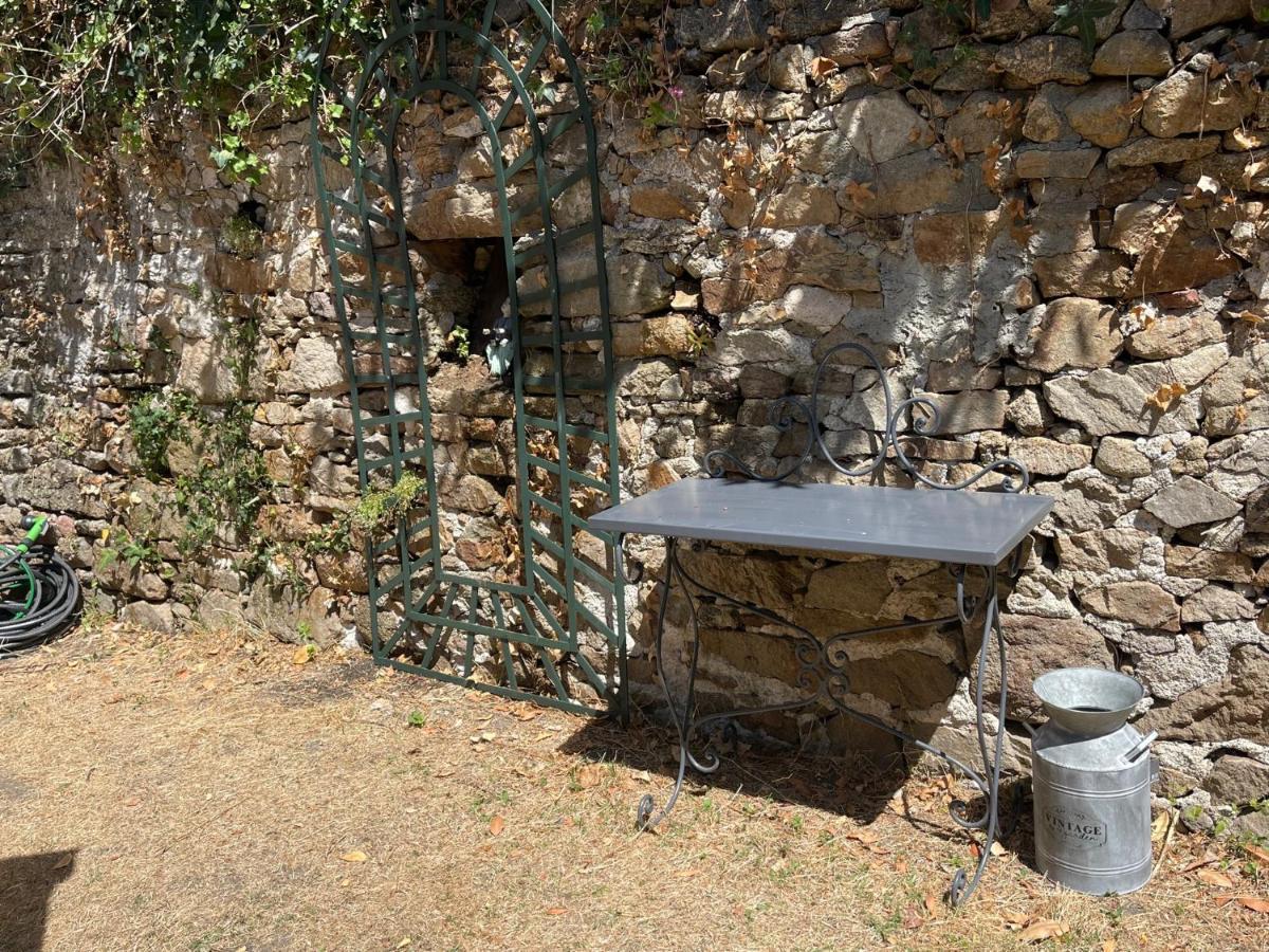Le Patio, Coeur De Ville Avec Garage Et Jardin 瓦讷 外观 照片
